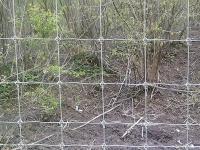 青海鹿網(wǎng)圍欄