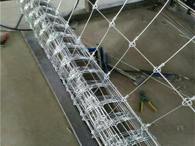 草原圍欄網(wǎng) 草原圍欄網(wǎng)