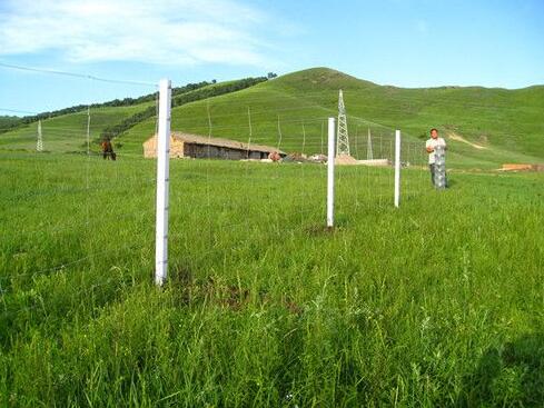 QQ截圖20180727171749.jpg 牛欄網(wǎng)