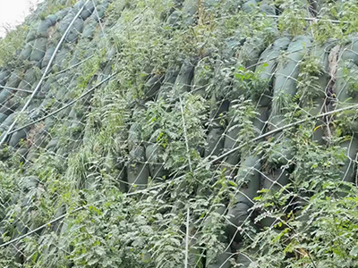 邊坡防護網 邊坡防護網